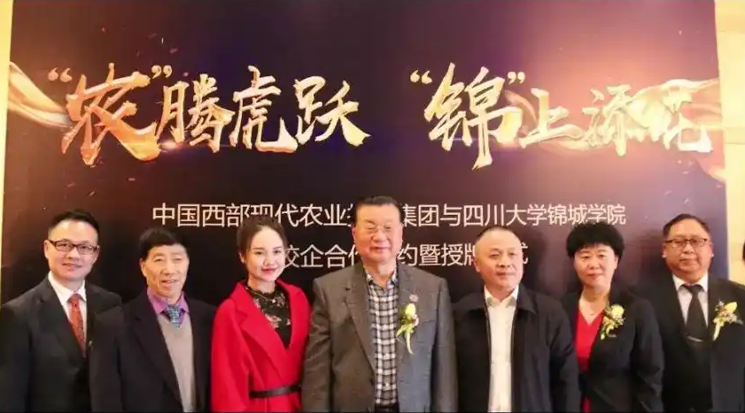 土星及其光环